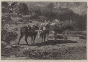 I tre fratelli da Rosa Bonheur